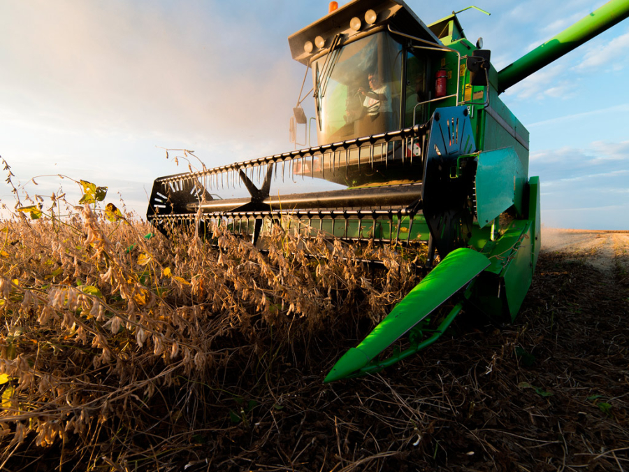 Produção de soja em Mato Grosso deve atingir novo recorde, aponta Imea