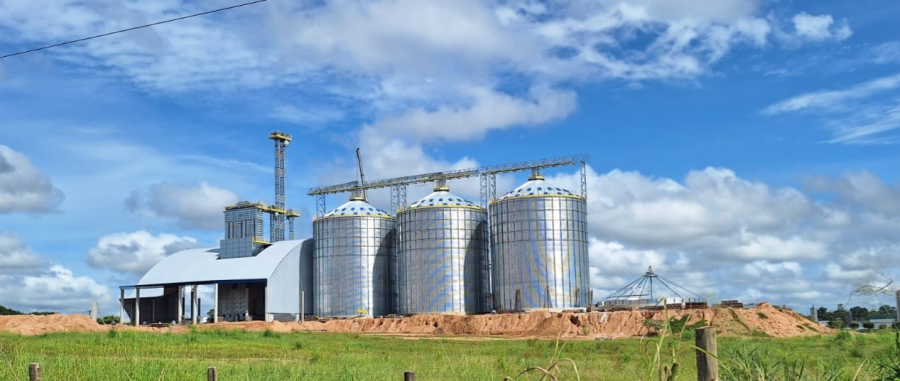 Coopernova Projeta Salto na Pecuária Leiteira e Expande Atuação para o Mercado de Grãos em Mato Grosso