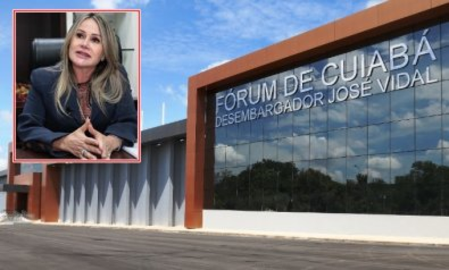 Justiça condena empresas e madeireiros por sonegação em MT
