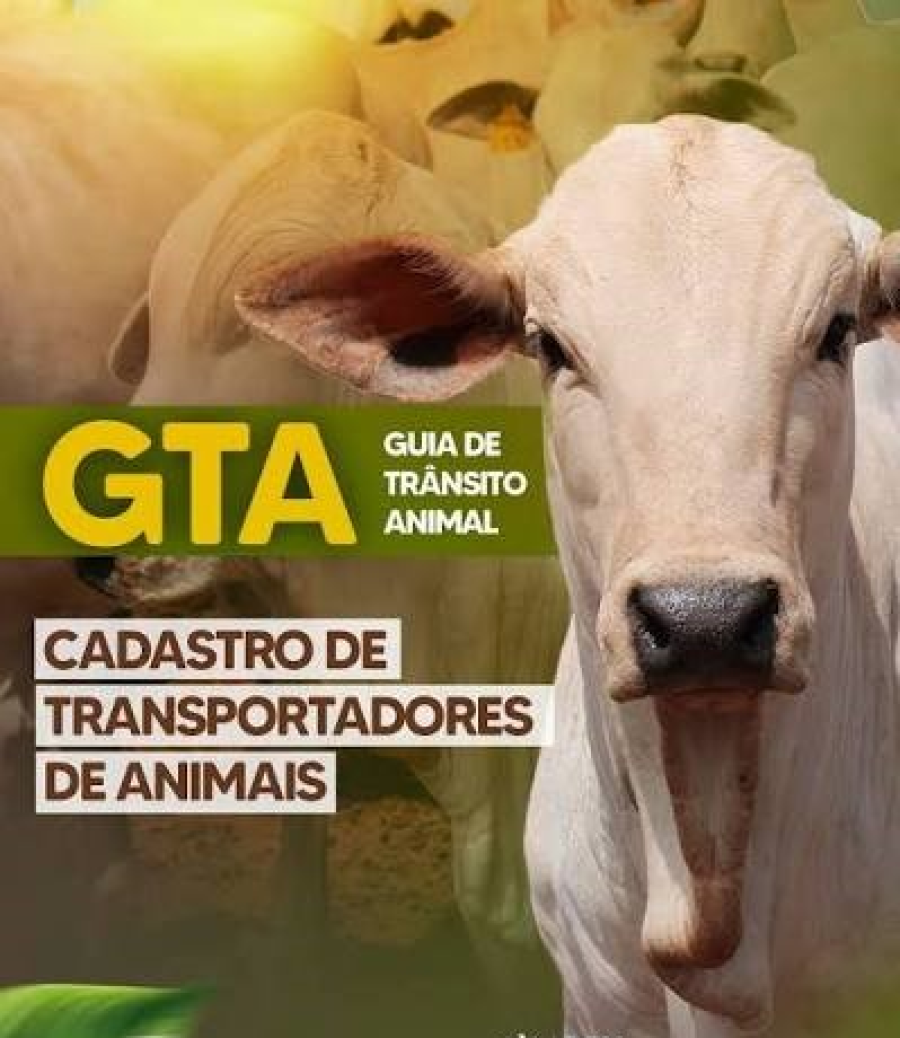 Indea suspenderá emissão de GTAs por 4 dias em Mato Grosso; pecuaristas devem antecipar