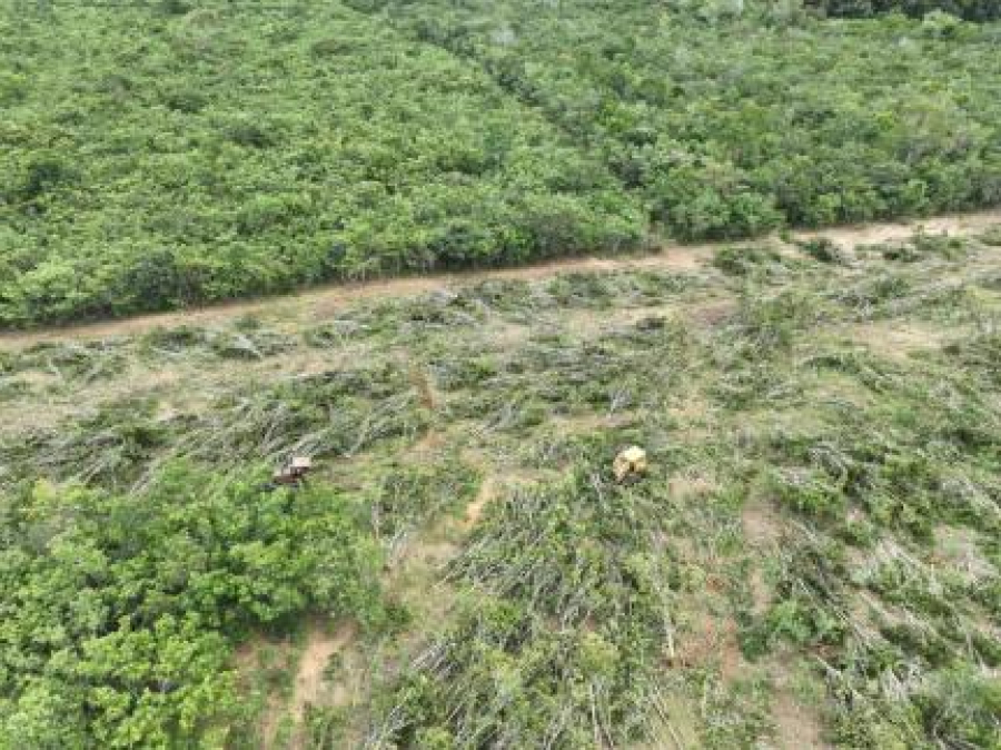Fazendeiro é condenado a pagar R$ 3,3 mi por destruir 40 ha de área nativa em MT