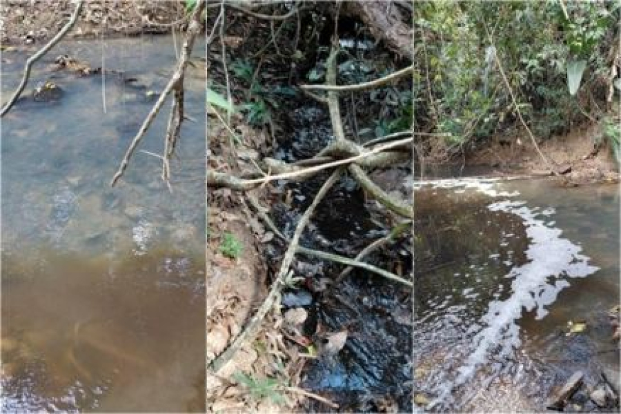 MPE cobra R$ 1 milhão de frigorífico por contaminação de rio em Colider