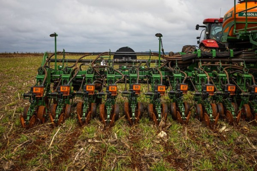 Fim do vazio sanitário em MT: El Niño aumenta atenção para início do plantio de soja
