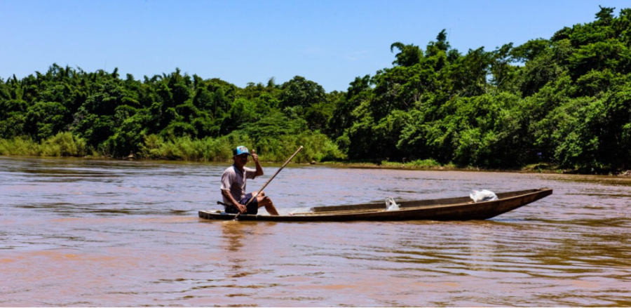 Piracema inicia na 5ª e Sema alerta sobre declaração obrigatória de peixes armazenados